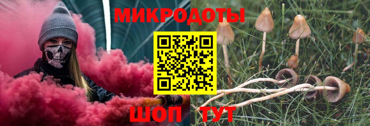Луховицы  Псилоцибиновые грибы Psilocybe  Вход с VPN  Галлюциногенные грибы мухоморы 
